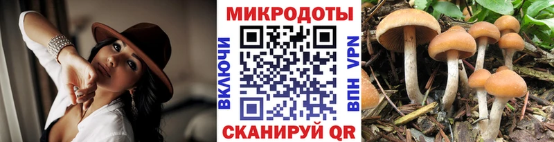 Псилоцибиновые грибы ЛСД  Купить закладки  Волжск 