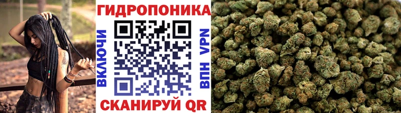 Канабис THC 21%  Купить где  Волжск 
